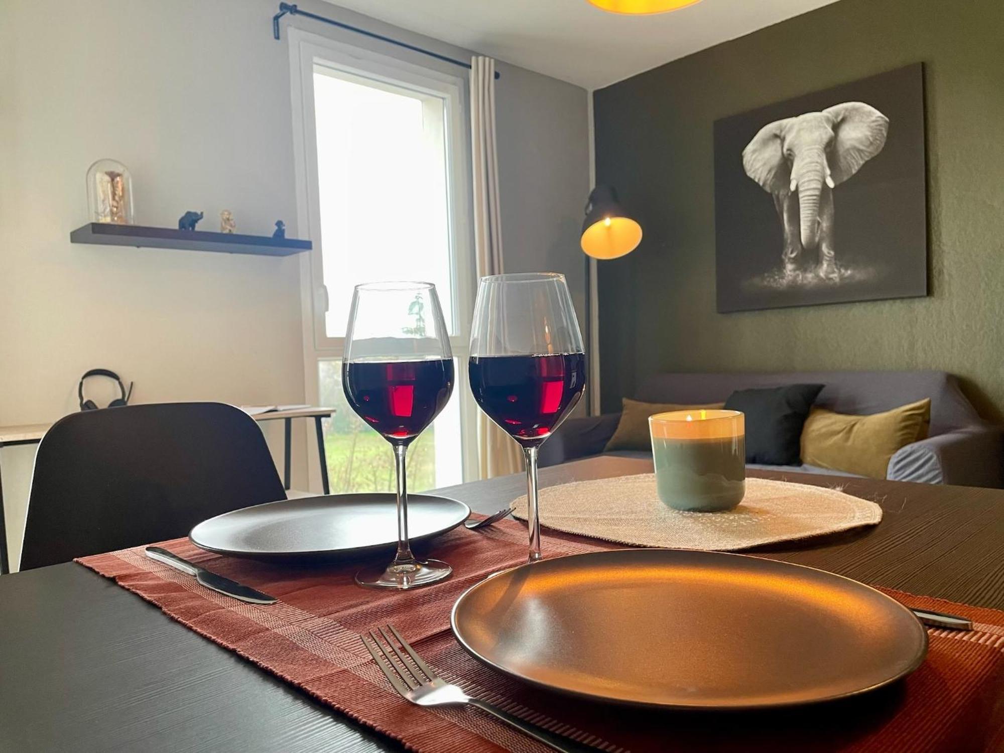 Le Colorado - Appartement Proche Airbus Colomiers Kültér fotó