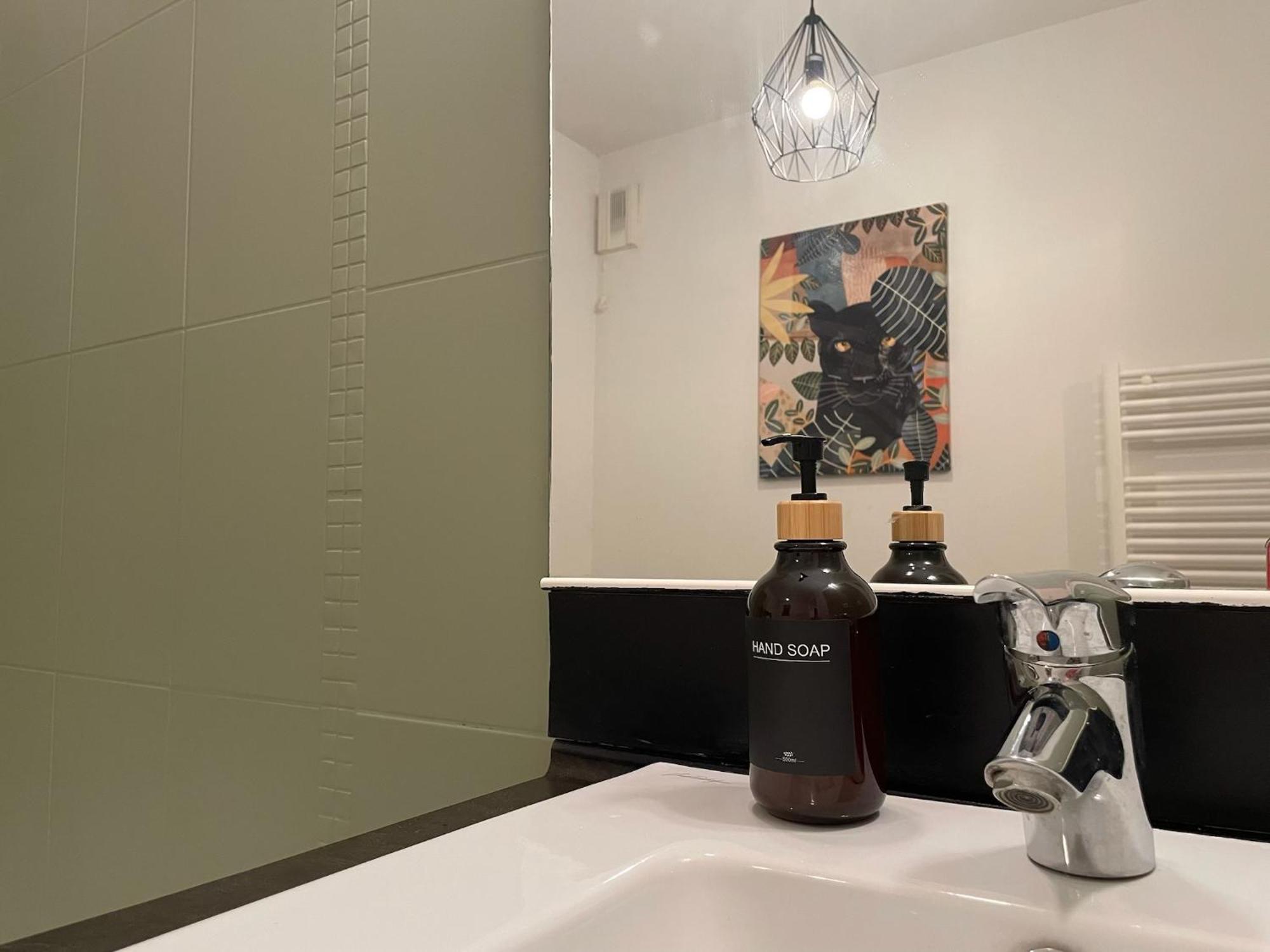 Le Colorado - Appartement Proche Airbus Colomiers Kültér fotó